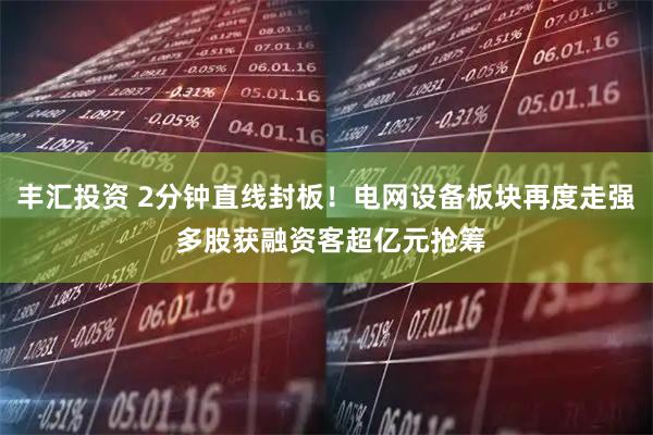 丰汇投资 2分钟直线封板！电网设备板块再度走强 多股获融资客超亿元抢筹