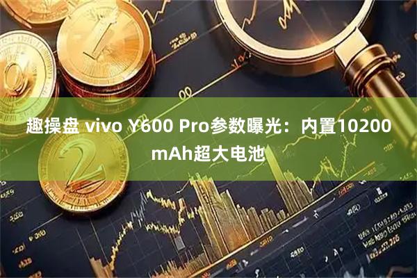 趣操盘 vivo Y600 Pro参数曝光：内置10200mAh超大电池
